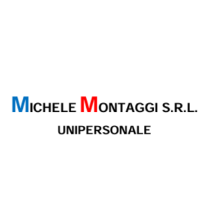 MICHELE MONTAGGI LOGO cornice